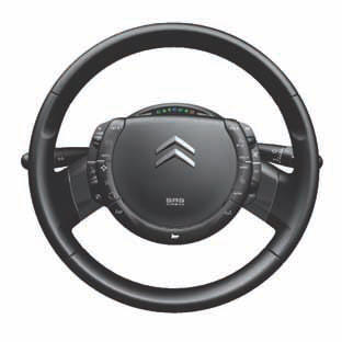 Controls for speed limiter and cruise control